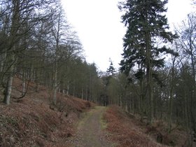 img_0675.jpg
