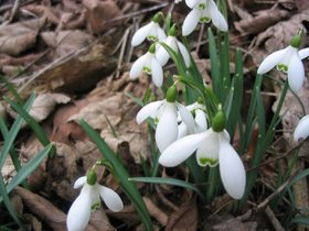 img_0678.jpg
