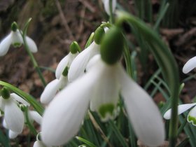 img_0679.jpg