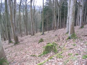 img_0683.jpg