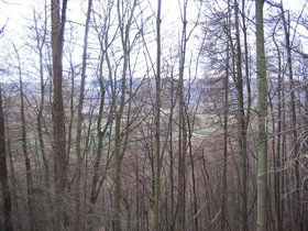 img_0688.jpg