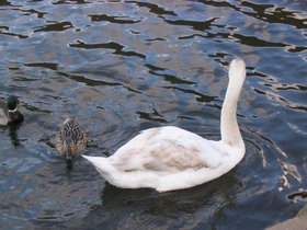 100_0040.jpg