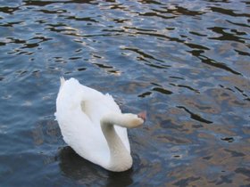 100_0041.jpg